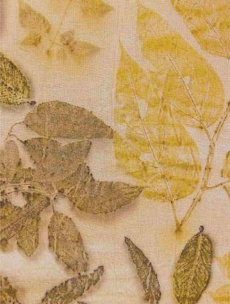 Natural Imprints - Botanical Printing